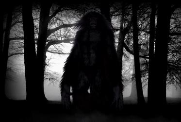 Strange Cases of Bigfoot, Yeti, and Other Hairy Humanoids Being Fired Upon and Even Killed