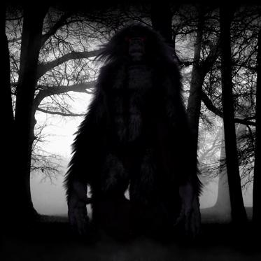 Strange Cases of Bigfoot, Yeti, and Other Hairy Humanoids Being Fired Upon and Even Killed