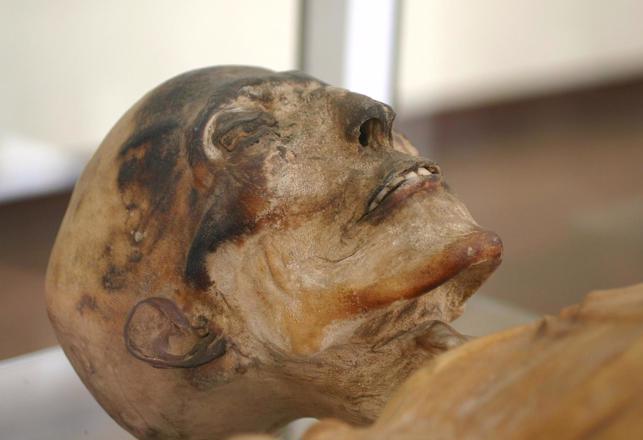 Random Corpses are Becoming Mysteriously Mummified in Portugal