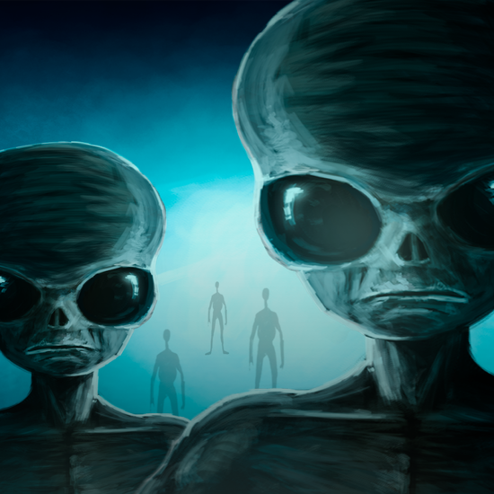 A Harrowing Account of Aliens in the House