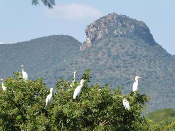 Mysterious Cursed and Haunted Mountains in Africa