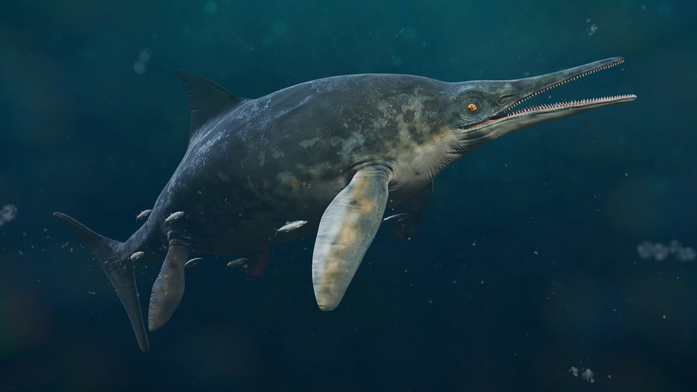 Giant Ichthyosaur Graveyard in Nevada Was Actually a Baby Ichthyosaur ...