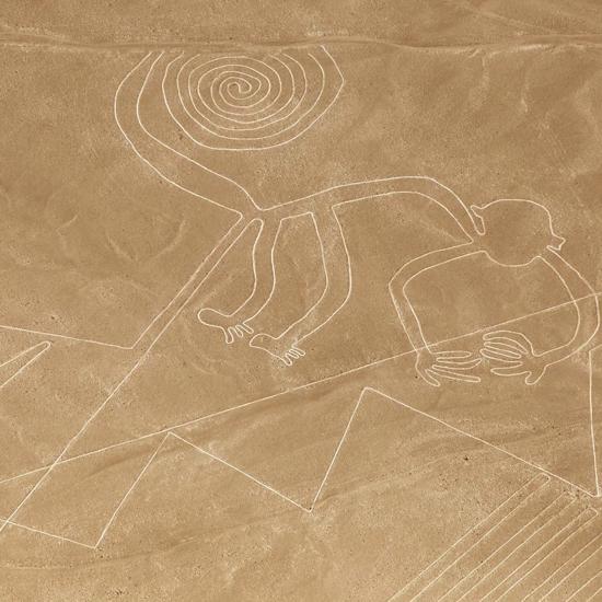 168 New Nazca Lines Discovered Including a Snake, a Cat and Homer Simpson