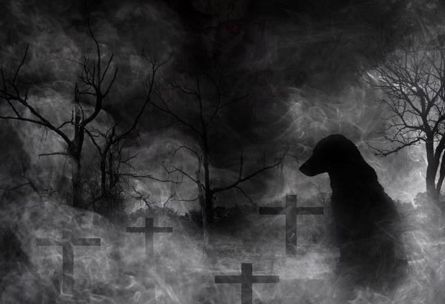 A Collection of Tales of Phantom Black Dogs: A Worldwide Weird Phenomenon