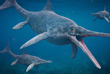Giant Ichthyosaur Graveyard in Nevada Was Actually a Baby Ichthyosaur Nursery