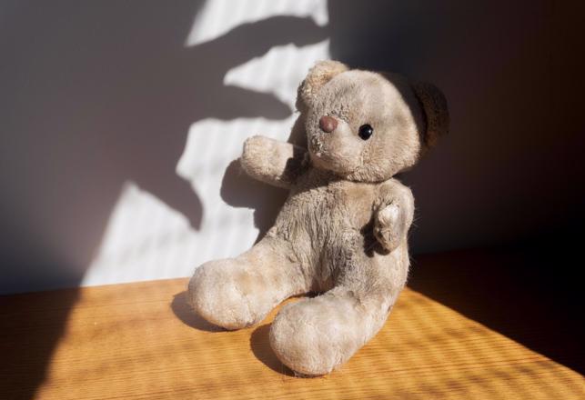 This Teddy Bear is a Real Paranormal Investigator