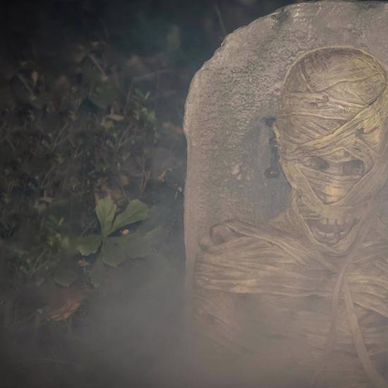 Mysterious Mummified Bog Body May Be a 5,000-Year-Old Human Sacrifice Victim
