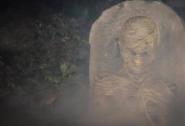 Mysterious Mummified Bog Body May Be a 5,000-Year-Old Human Sacrifice Victim