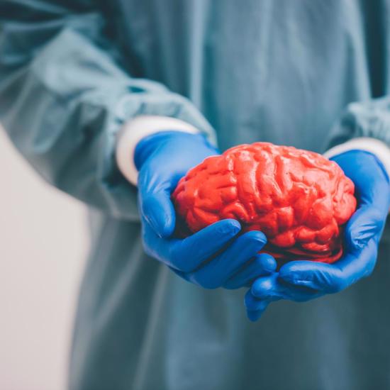 Head Transplant Surgeon is Back With a New Plan for Brain Transplants