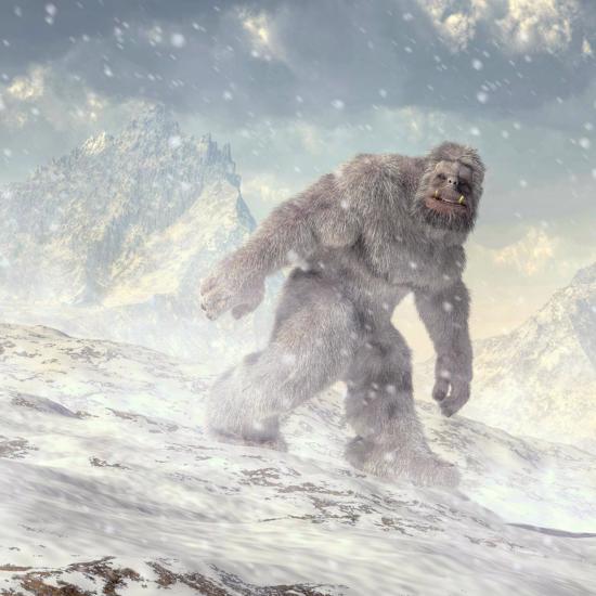 Primate Fossils Found on Arctic Island - Proof of Bigfoot?