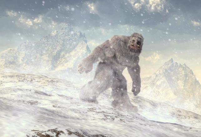 Primate Fossils Found on Arctic Island - Proof of Bigfoot?