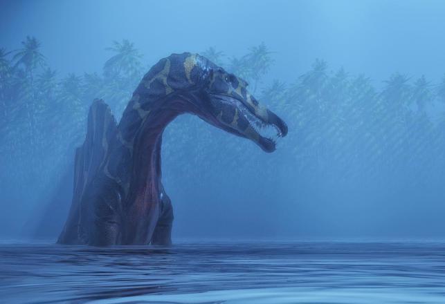 The Loch Ness Monsters: There Are Good Reasons Why We Should Term Them as "Paranormal"
