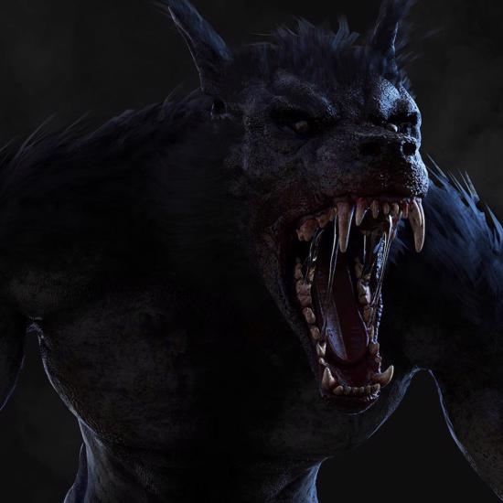 Mysterious Wolf-Monsters: How Many Types Are There? More Than a Lot!