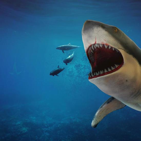 Our Oceans Might be Prowled by a Mysterious Enormous Super Predator