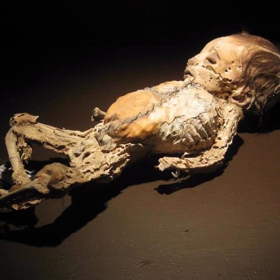 Mummy Exhibition in Mexico May Release Real Mummy's Curse