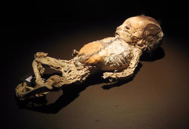 Mummy Exhibition in Mexico May Release Real Mummy's Curse