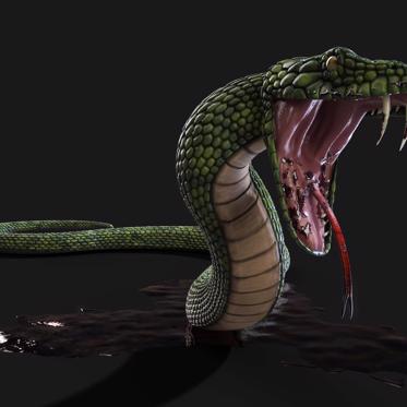 Strange Accounts of a Bizarre and Dangerous Mystery Snake in Africa