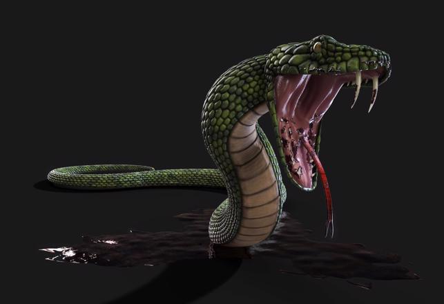 Strange Accounts of a Bizarre and Dangerous Mystery Snake in Africa