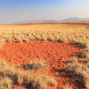 Australian Aboriginals Explain the Origin of Desert 'Fairy Circles’ to Scientists