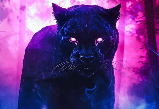 27.19 - MU Plus+ Podcast - Panthera Pardus - Vimarsana News