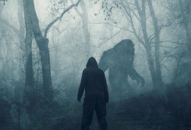 The Bizarre Case of a Family That Lived with Bigfoot 
