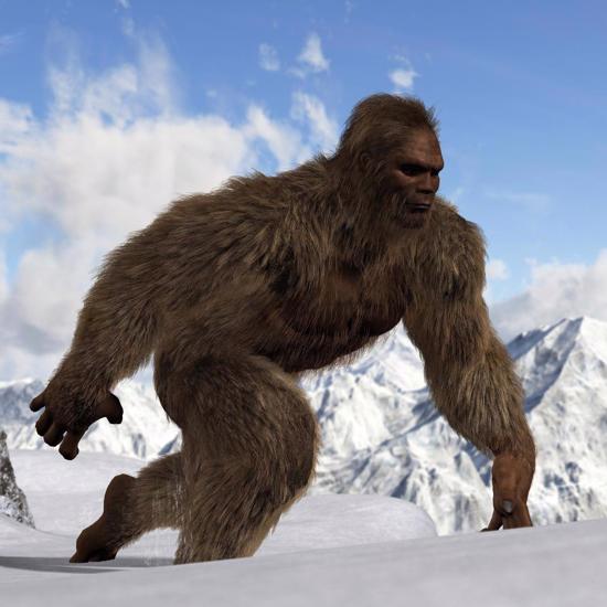Argentina's Bigfoot - the "Yeti from Salta" - Terrifies a Fearless Pro Boxer 