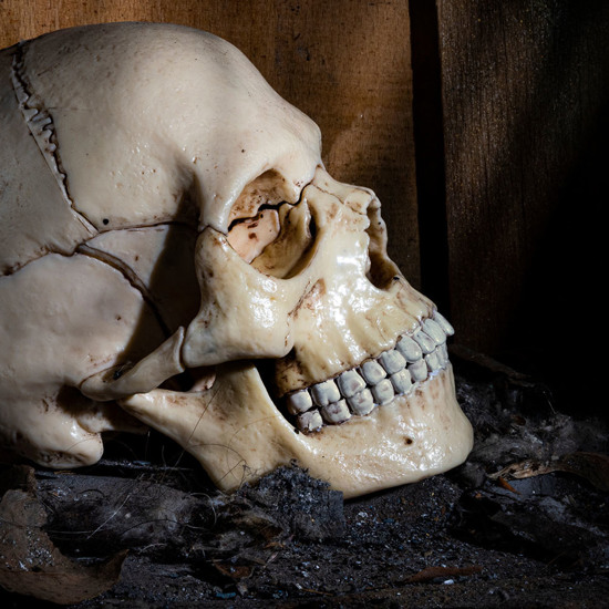 The Shocking Decline in Human Cranial Capacity: How do Evolutionists Explain it? They Don’t!