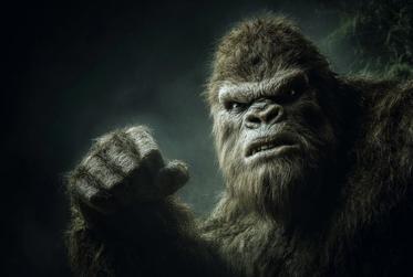 The Mysterious World of Bigfoot Threat Displays