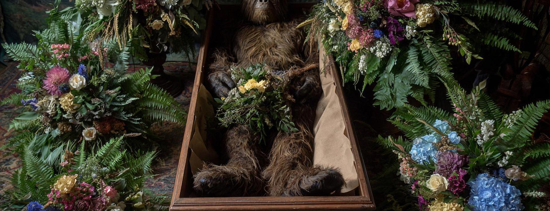 Dead Bigfoot, Ouija Board Study, Glowing Interstellar Spaceship, Witch on a Broomstick,    and More Mysterious News Briefly