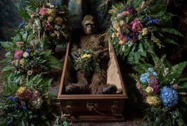 Dead Bigfoot, Ouija Board Study, Glowing Interstellar Spaceship, Witch on a Broomstick,    and More Mysterious News Briefly