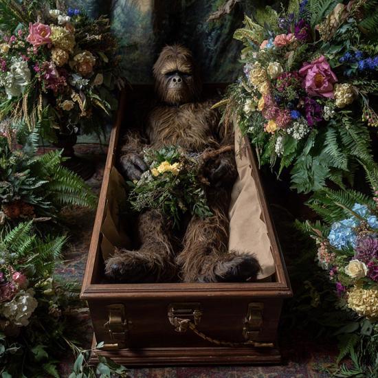 Dead Bigfoot, Ouija Board Study, Glowing Interstellar Spaceship, Witch on a Broomstick,    and More Mysterious News Briefly