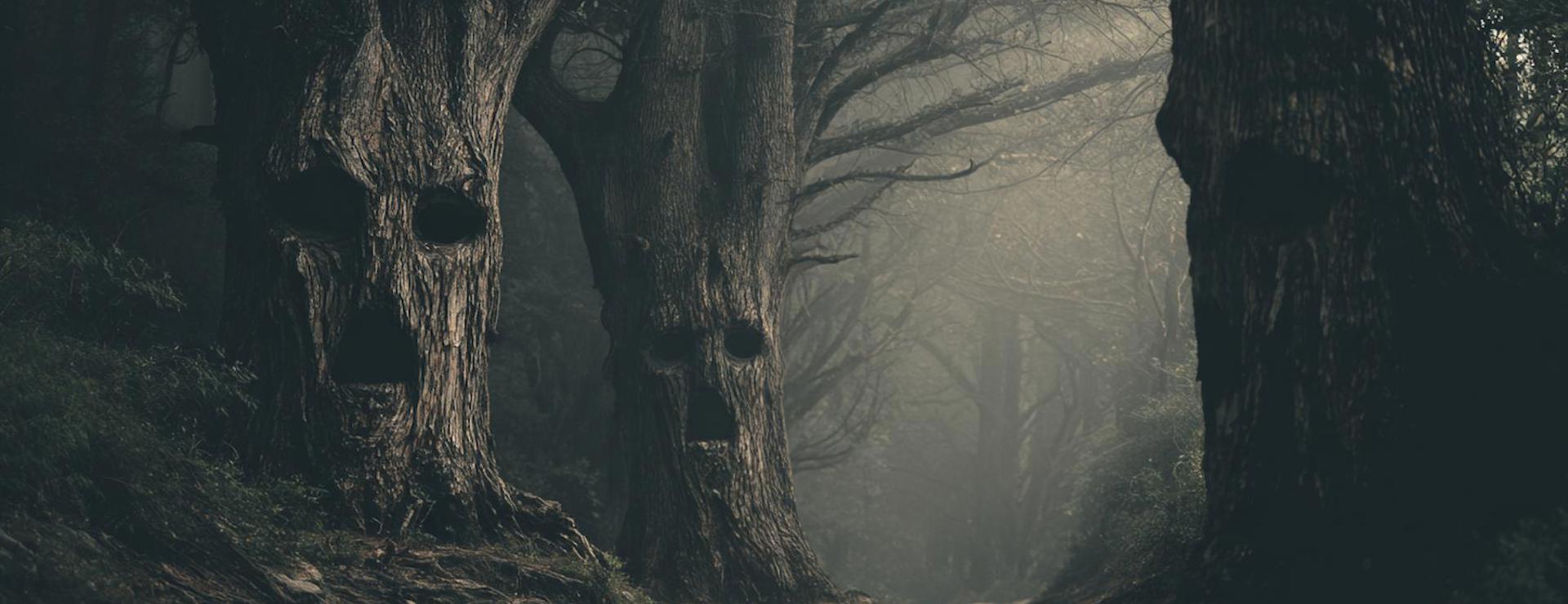 Spooky Haunted and Cursed Forests of the World