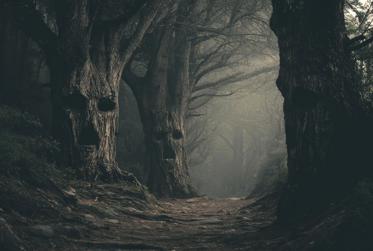 Spooky Haunted and Cursed Forests of the World 